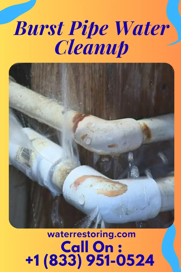 Burst Pipe Water Cleanup in Linden, TN