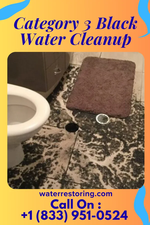 Category 3 Black Water Cleanup in Linden, TN